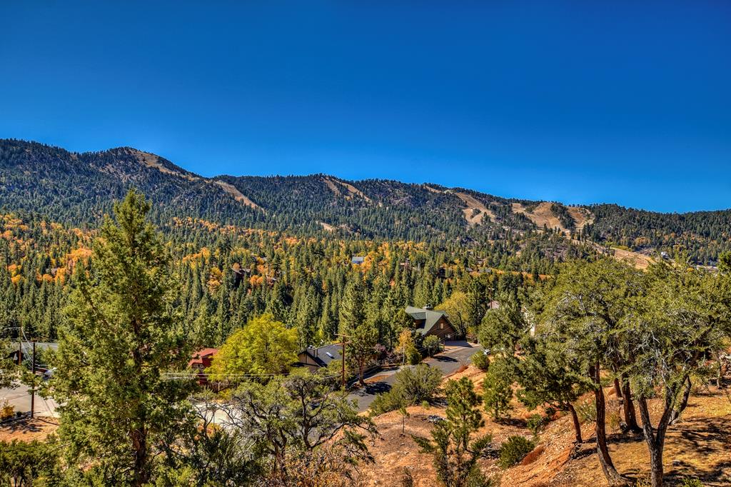Fabulous Views of Bear Mtn