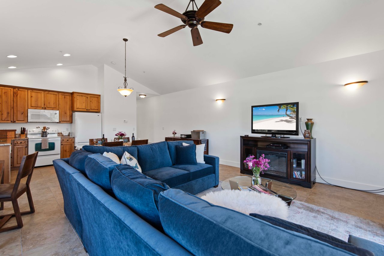 Living Area with TV, Cable, and electric fireplace.