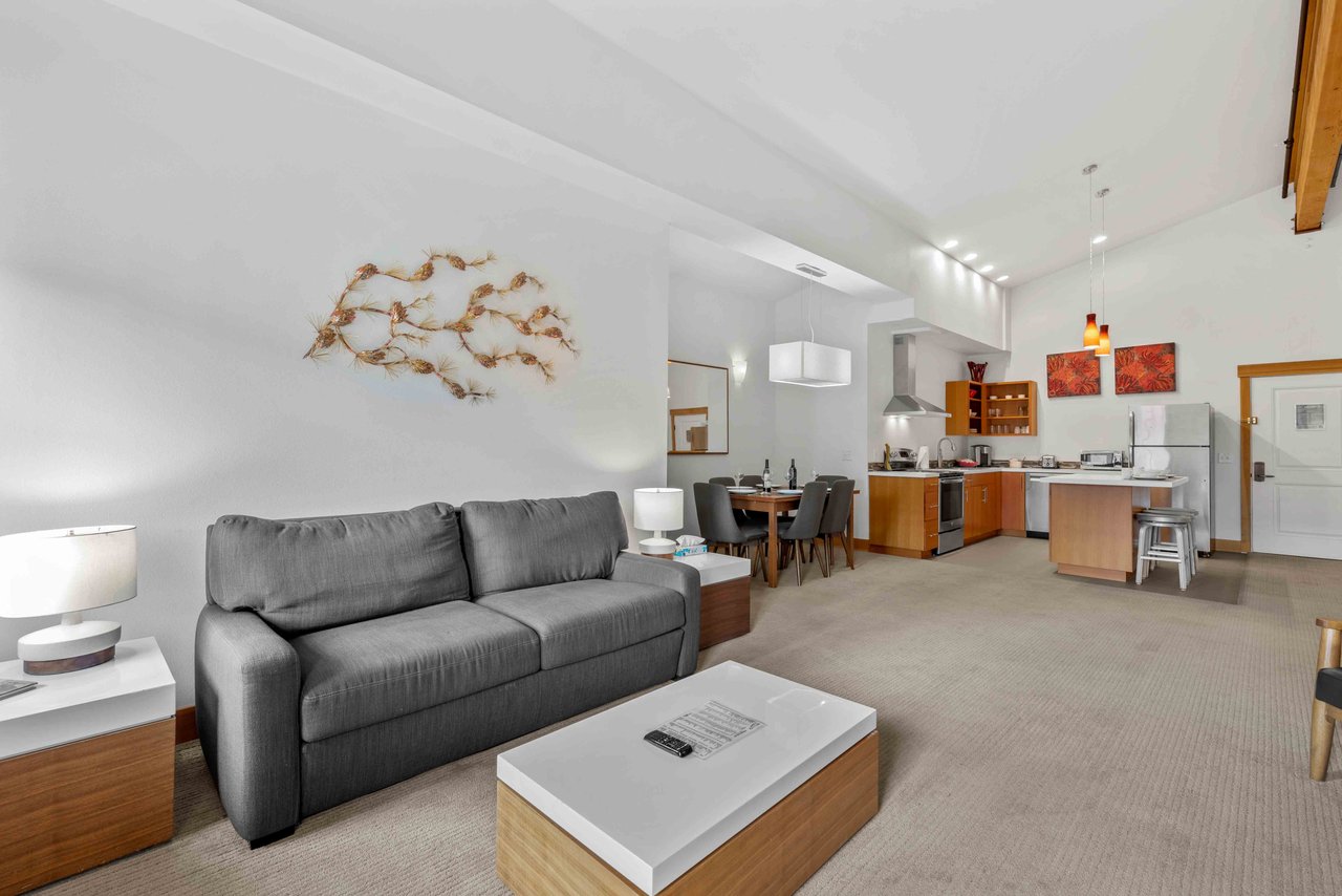 Living - Kitchen Area