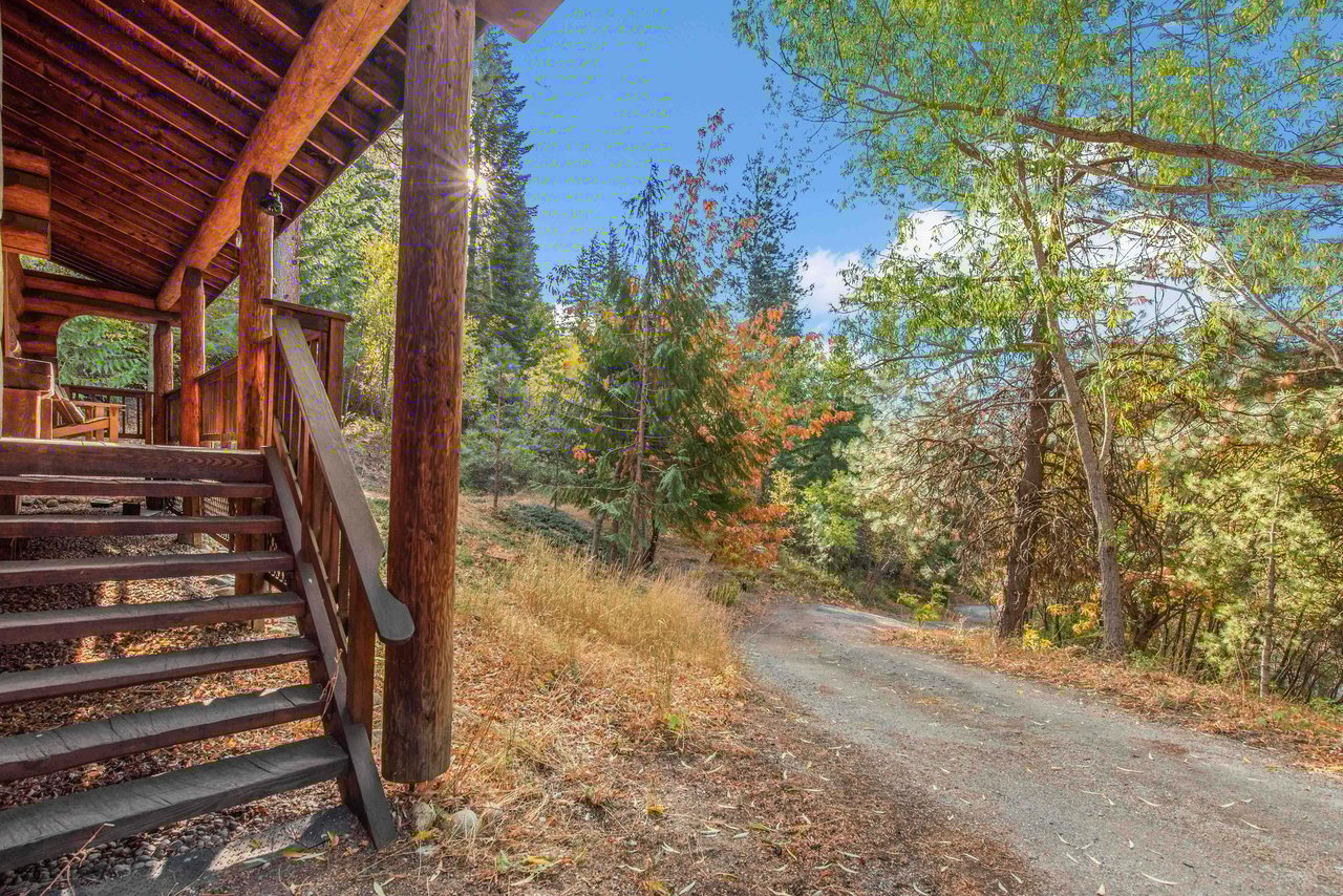Bear Ridge Cabin Exterior