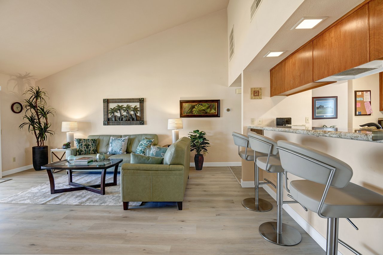 LIVING SPACE AND BAR TOP