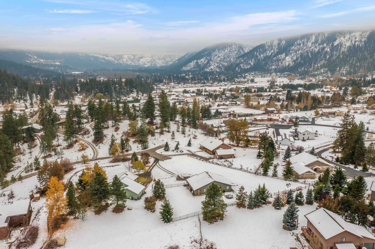 Aerial view of the neighborhood