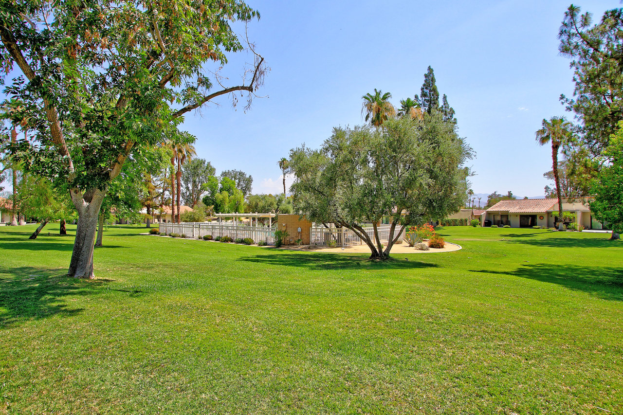 Patio opening into extensive backyard with trees