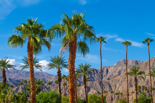 Explore La Quinta.