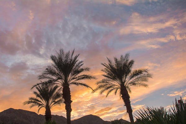 Explore La Quinta.