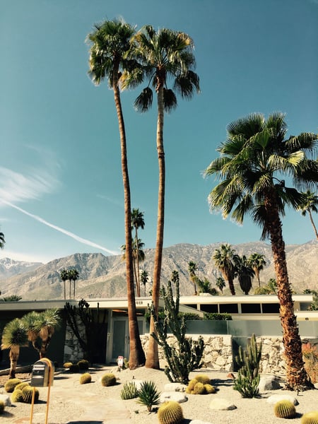 Explore Palm Springs.