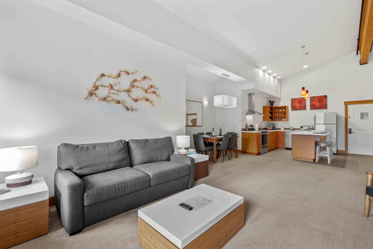 Living - Kitchen Area